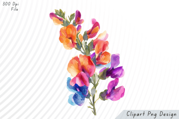 Watercolor Rainbow Freesia Clipart